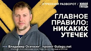 Новые свидетельства военных преступлений в Украине. Осечкин*: Утренний разворот / 07.09.23