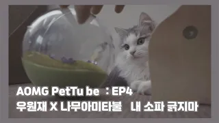 [AOMG PetTube] EP 04: 우원재 (Woo) x 나무아미타불 (Namu, Ami, Tabul) [ENG/CHN]