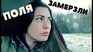 ДЕВУШКА И КОП. Поля замерзли, копаю в лесу