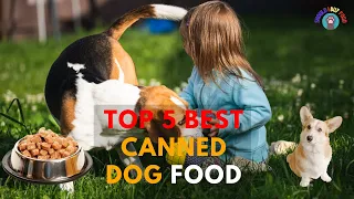 ✅ Top 5 Best Canned Dog Foods for a Healthy Pup 2023