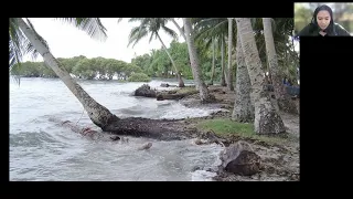 Art Breaks | Anthropology and Art in the Sepik River Valley