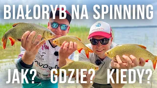 Białoryb na spinning  Jak? Gdzie? Kiedy?