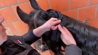 Easy technique to plait a horse with a long mane