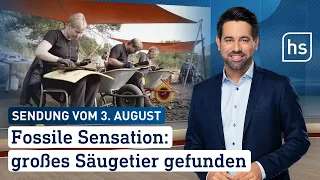 Fossile Sensation: großes Säugetier gefunden | hessenschau vom 03.08.2023