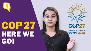 COP 27: All You Need To Know! | The Quint