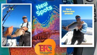 How to find new structure offshore of Tampa Bay and Catch Fish!