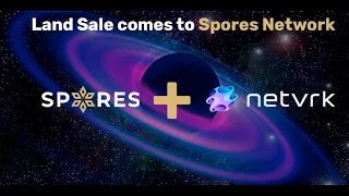 Spores + NetvRK  -Новое партнерство. Обзор новостей.