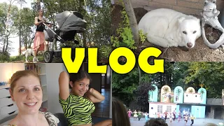 Weekly VLOG 08 - Der ganz normale Wahnsinn in meinem Leben als YouTuberin & Mama | Claudis Welt