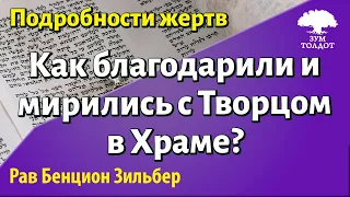 Как благодарили и мирились с Творцом в Храме? Рав Бенцион Зильбер