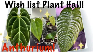 Come unbox wishlist Anthurium and Elaphoglossum with me  North Shore Tropicals and Plantsandpamperin