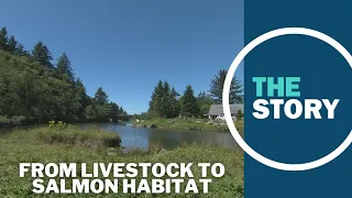 Salmon habitat restoration on the Oregon Coast expected to benefit from Inflation Reduction Act