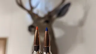 Hornady vs Barnes Expansion 6.5 Grendel