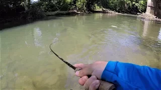 BROOK TROUT Fishing In The STREAM