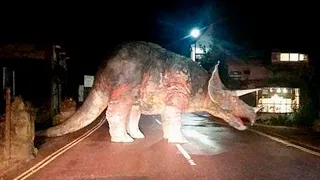 Dinosaurs Caught On Camera And Seen In Real Life