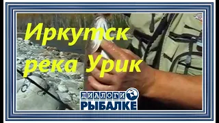 Диалоги о рыбалке -  079 / Иркутск. Река Урик