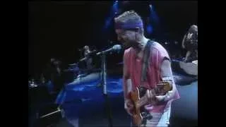 Van Halen - You Really Got Me - 8/19/1995 - Toronto (Official)