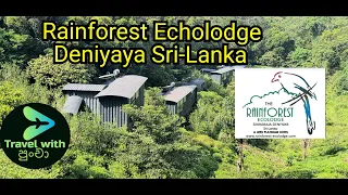 Rainforest  Echolodge Deniyaya 🇱🇰 Travel with Puncha.