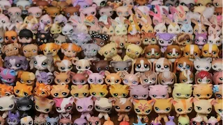 My Littlest Pet Shop Collection! (500+ LPS)