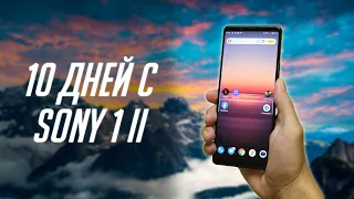 SONY XPERIA 1 II REVIEW AFTER 10 DAYS. EXPERIENCE OF USE, CAMERAS