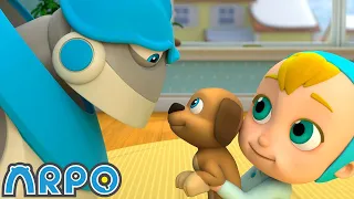 Puppy PANIC!!! | ARPO The Robot | Funny Kids Cartoons | Full Episode Compilation