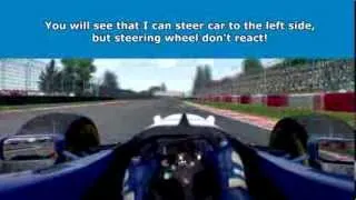 F1 2013 virtual steering wheel visual bug