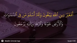 Al-'Imran ayat 83