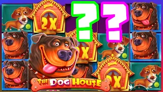 THE DOG HOUSE 🐶 SLOT BIG WIN BONUS HUNT 💎 INSANE MULTIPLIERS😱 WITH THE PREMIUM DOG‼️