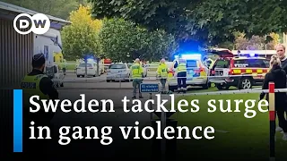 Combatting Sweden's surging gang violence | DW News