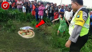 Detik2 Warga Menangkap Sosok Bayi Naga Di Kebun Kosong.Sorot Matanya Mengerikan