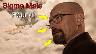 Walter White Is Sigma