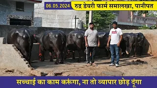 सच्चाई का काम करूंगा, ना तो व्यापार छोड़ दूंगा || RUDHER DAIRY FARM SAMALKHA, PANIPAT