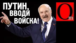 "Путин, введи человечков" Лукашеску пошел в ВА-БАНК!