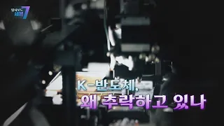 [탐사보도 세븐] K-반도체,  왜 추락하나