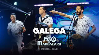 GALEGA - Fulô de Mandacaru (DVD Forró Eletrizante)