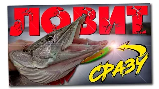 🔴 Щука не пропускает эту приманку! Ловля щуки на воблер!!!