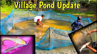 My Village Pond is at risk😳😰| Backyard Fish Pond Farm | Village Fishing | Fishing Channel in India