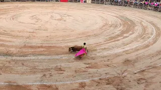 monumental plaza de toros Sevilla Celendin