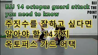주짓수를 잘하고 싶다면 알아야 할 14가지 옥토퍼스 가드 어택 / Octopus guard attacks you need to know / bjj the point tv