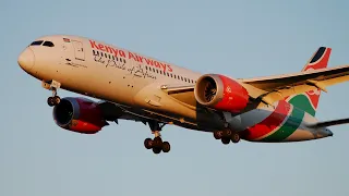 Sunset Plane Spotting at London Heathrow Airport - A380, A330, 777, 787