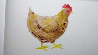 Как нарисовать курицу поэтапно