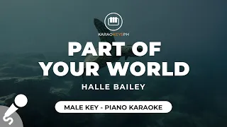 Part Of Your World - Halle Bailey (Male Key - Piano Karaoke)