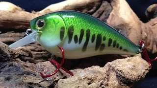 How to paint a baby bass crankbait