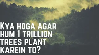 Kya hoga agar hum 1 trillion trees plant kar dein to? | What if we plant 1 trillion trees?