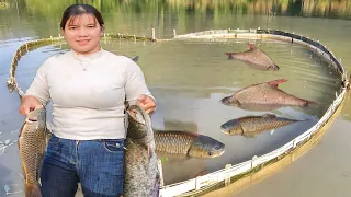 FULL VIDEO: 300 days of living on the lake and the girl's many ways of fishing.