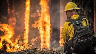 В Югре сгорело больше 1,5 тысяч гектаров тайги