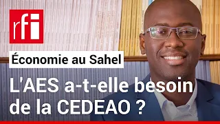 "Sortir du CFA ? La monnaie de l'AES crédible et souhaitable", dit l'économiste Ndongo Samba Sylla