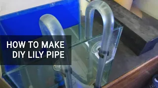 How to Make DIY Lily Pipe for DIY Canister Filter