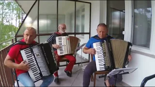 Radetzky March - trio akkordeon accordion akordeon