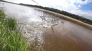 ЩУКИ ВЫЛЕТАЮТ ИЗ ВОДЫ. БЕШЕНЫЙ КЛЕВ ЩУКИ. ЛОВЛЯ РЫБЫ НА СПИННИНГ И УДОЧКУ С БЕРЕГА НА СЕВЕРЕ.