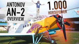 It was born old. Antonov AN-2 overview and test flight